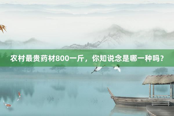 农村最贵药材800一斤，你知说念是哪一种吗？
